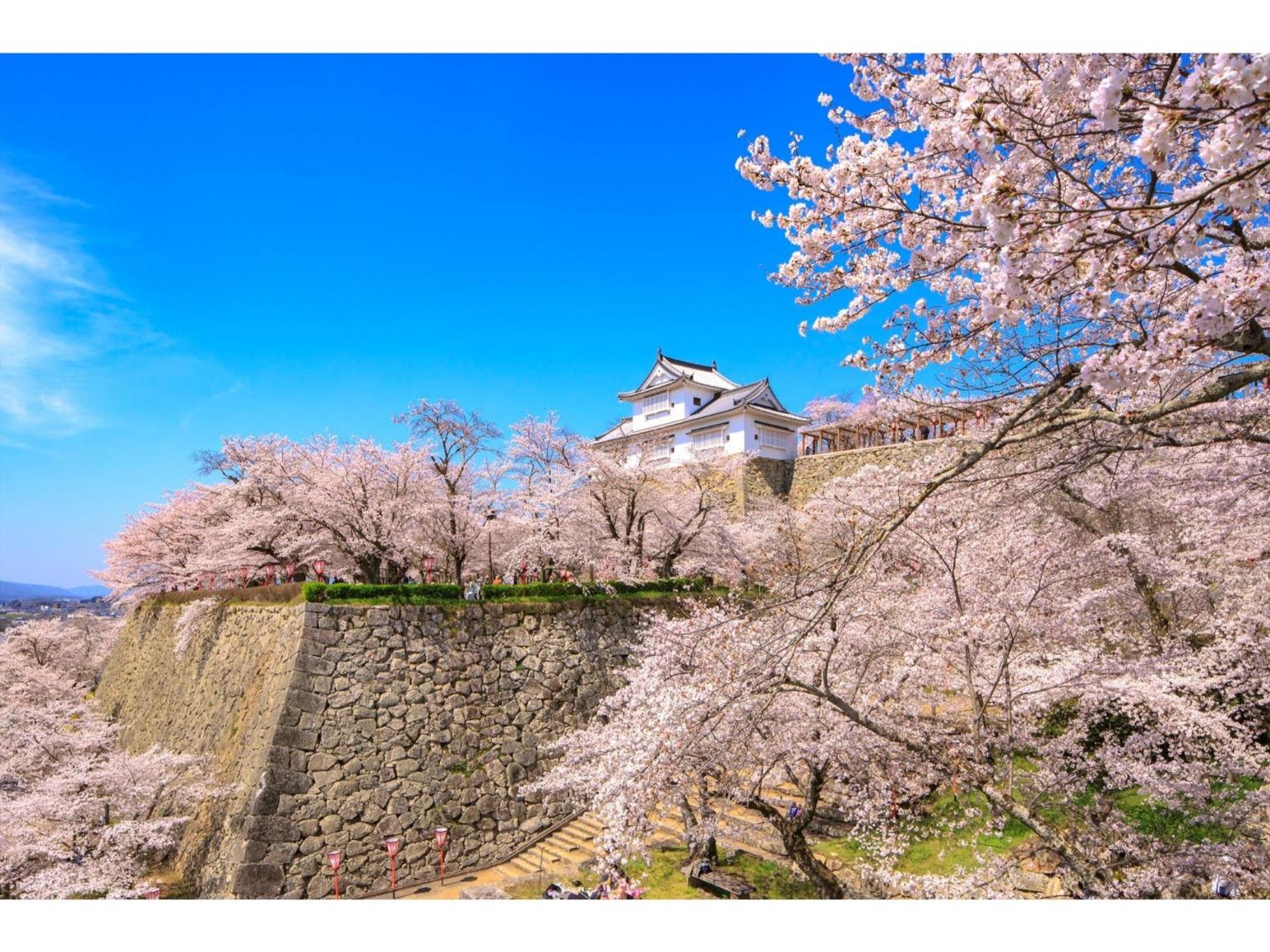 Tsuyama Kakuzan Hotel - Vacation Stay 75701V Ngoại thất bức ảnh